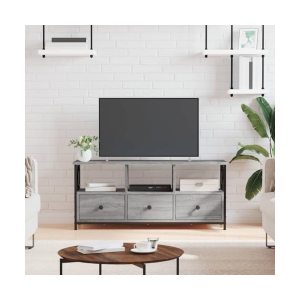 Hovothy Meuble TV Sonoma Gris 102x33x45 cm Bois dingénierie et Fer Buffet TV Industriel Meuble de Salon Résistance à lhumid