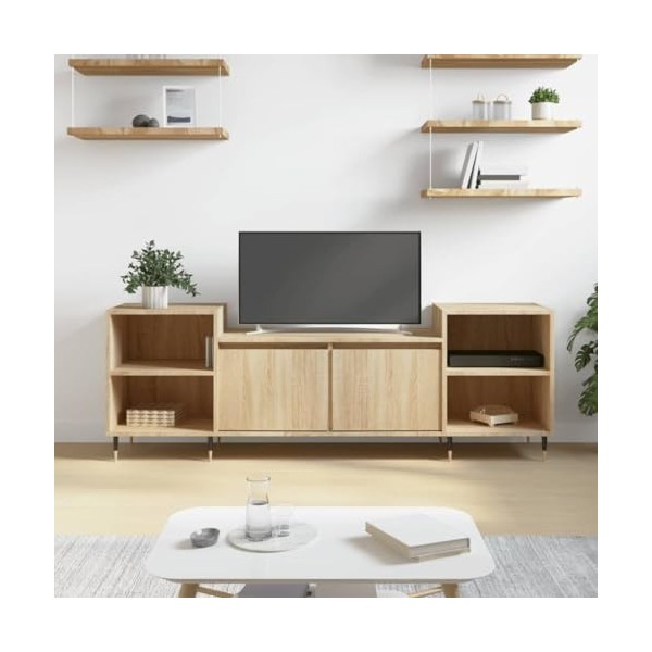 vidaXL Meuble TV, Armoire de Télévision avec 6 Compartiments, Meuble Télé avec Portes Salon Salle de Séjour, Moderne, Chêne S