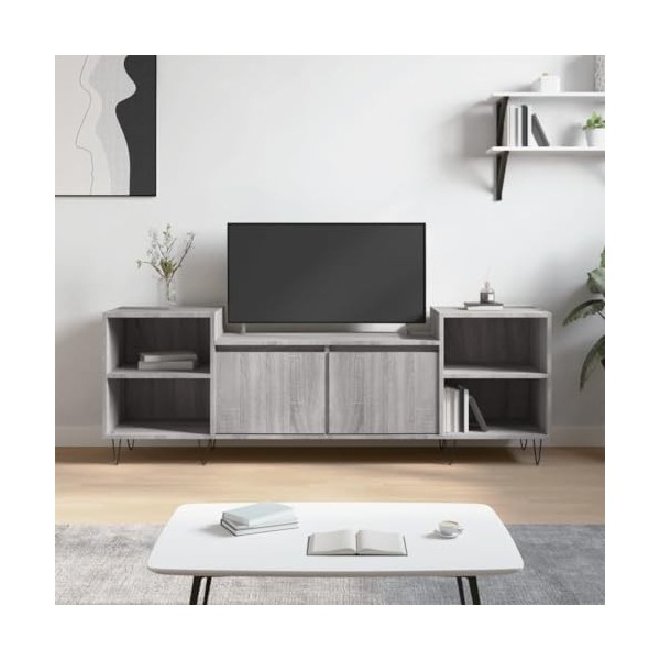 vidaXL Meuble TV, Armoire de Télévision avec 6 Compartiments, Meuble Télé avec Portes Salon Salle de Séjour, Moderne, Gris So