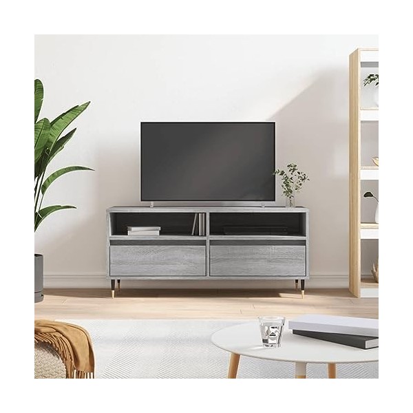 Camerina Meuble TV Sonoma Gris 100x34,5x44,5 cm Bois dingénierie,Meuble TV Longueur,Meubles De Salon TV,Meuble Bas Salon