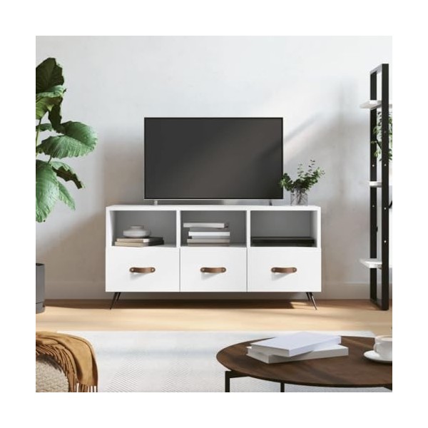 Hovothy Meuble TV Design Classique Blanc 102x36x50 cm Bois dingénierie Résistance à lhumidité Armoire Stéréo Grand Espace d