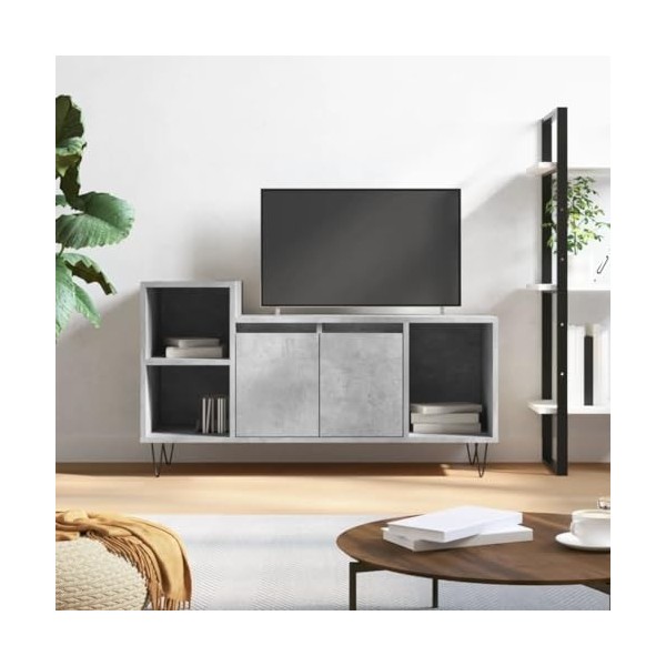 Camerina Meuble TV Gris béton 100x35x55 cm Bois dingénierie,Table TV,Ensemble Meuble TV,Meuble TV