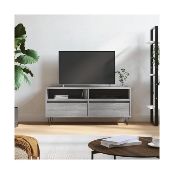 JUNZAI Meuble TV Sonoma Gris 100x34,5x44,5 cm Bois dingénierie,Meuble TV,Ensemble Meuble TV,Table TV