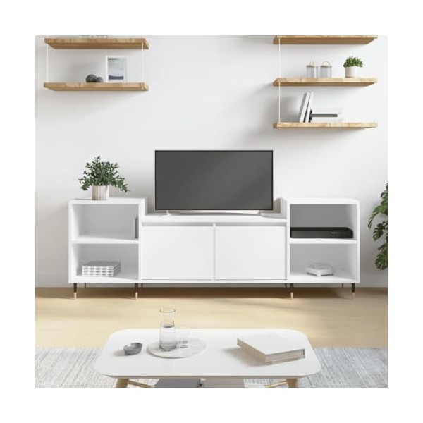 vidaXL Meuble TV, Armoire de Télévision avec 6 Compartiments, Meuble Télé avec Portes Salon Salle de Séjour, Moderne, Blanc B