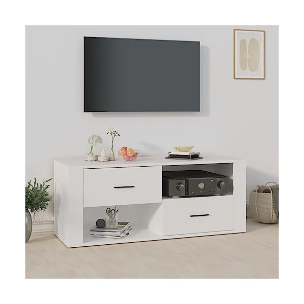 Hovothy Meuble TV Design Classique Blanc 100x35x40 cm Bois dingénierie Résistance à lhumidité Armoire Stéréo Grand Espace d