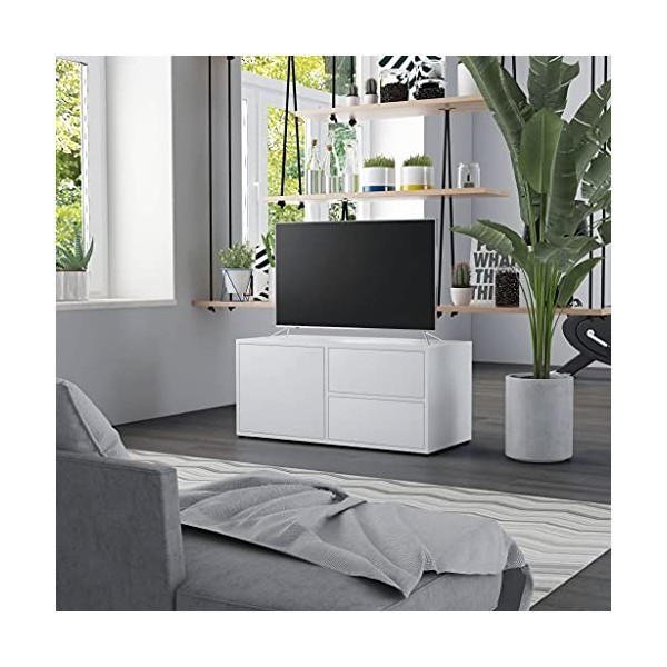 Meuble TV avec 2 tiroirs 1 Porte | Style Scandinave | Rangement matériel télé Audio Video Gaming | 80x34x36cm Blanc