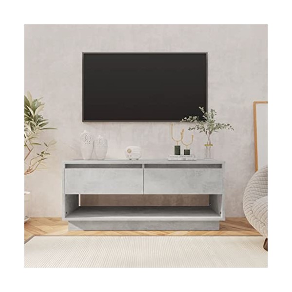 homiuse Meuble TV Blanc 102x41x44 cm Aggloméré Armoire TV Elégant et Classique Meuble de Télévision Support TV Décoration Sal