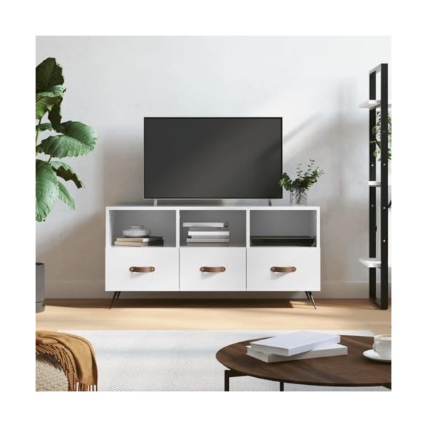 Hovothy Meuble TV Design Classique Blanc Brillant 102x36x50 cm Bois dingénierie Résistance à lhumidité Armoire Stéréo Grand
