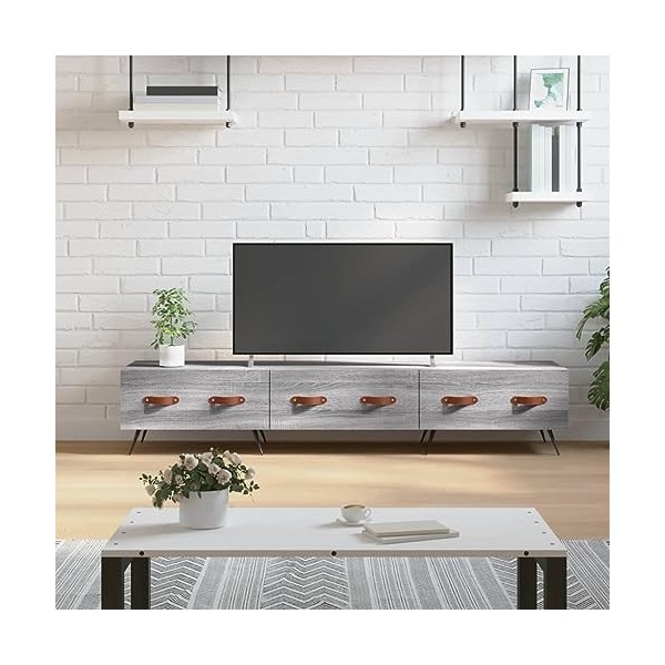 Camerina Meuble TV Sonoma Gris 150x36x30 cm Bois dingénierie,Table Television Salon,Meuble Télé Haut,Meuble TV Haut