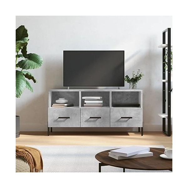 Hovothy Meuble TV Gris Béton 102x36x50 cm Bois dingénierie Meuble de Salon Pieds en Fer Style Calme Décoration Intérieur Uni