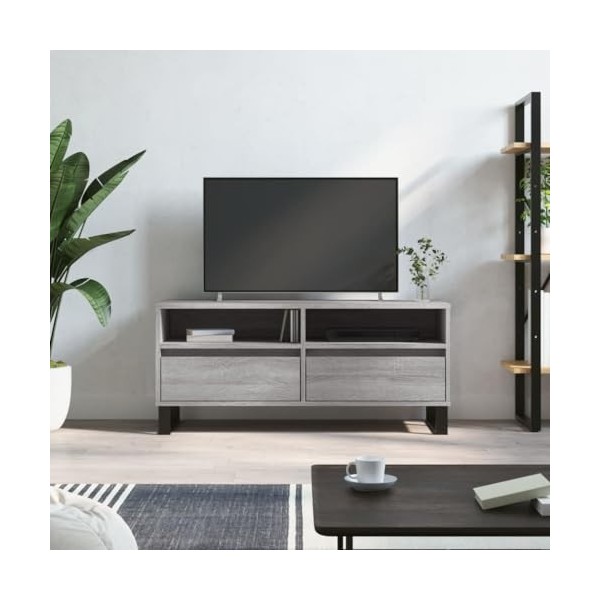 JUNZAI Meuble TV Sonoma Gris 100x34,5x44,5 cm Bois dingénierie,Meuble Haut Salon,Meuble dangle TV,Meuble TV Étagère