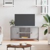 JUNZAI Meuble TV Sonoma Gris 100x40x50 cm Bois dingénierie,Meuble Haut Salon,Meuble TV Étagère,Meuble dangle TV