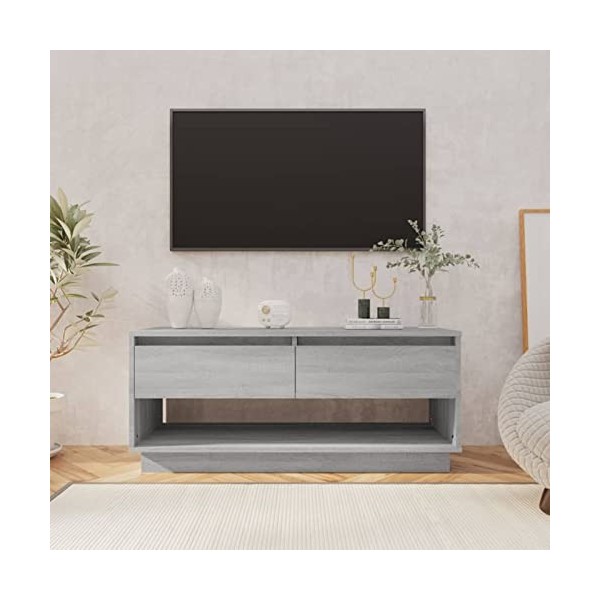 Goliraya Meuble TV Aggloméré Solide et Durable Design Elégant