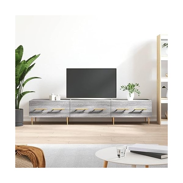 heybb Meuble TV Sonoma Gris 150x36x30 cm Bois dingénierie,Meuble Bas Salon,Meubles De Salon TV,Meuble TV Longueur