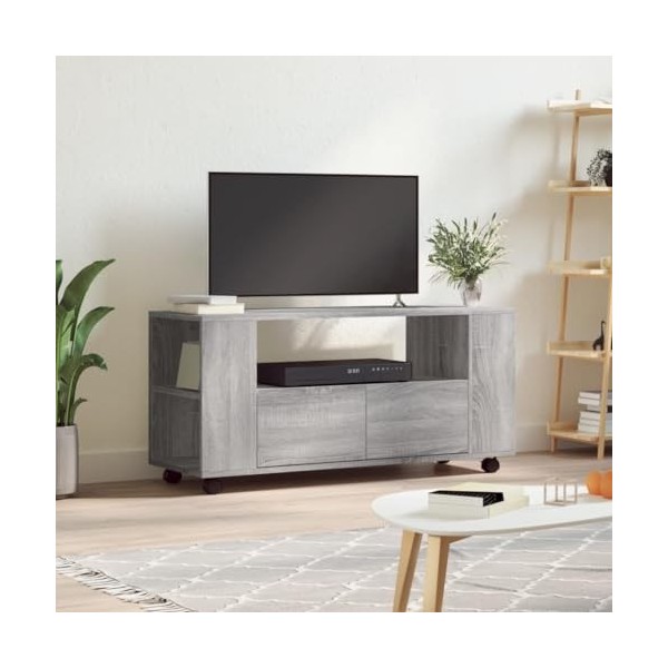 ARKEM Meuble TV Sonoma Gris 102x34,5x43 cm Bois dingénierie,Table Television Salon,Meuble Télé Haut,Meuble TV Haut