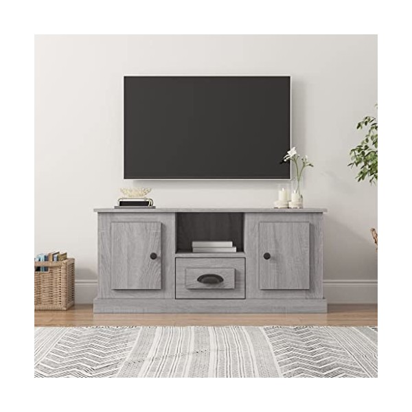 FAMIROSA Meuble TV Sonoma Gris 100x35,5x45 cm Bois dingénierie 22KG 