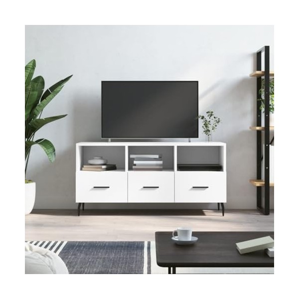 Annlera Meuble TV Blanc 102x36x50 cm Bois dingénierie Style Calme Banc TV Maison Chambre à Coucher Rangement Spacieux Ranger