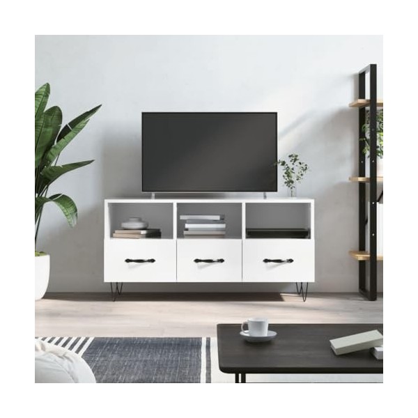 Annlera Meuble TV Blanc Brillant 102x36x50 cm Bois dingénierie Classique Banc TV Décorer Pièce Minimaliste Armoire TV Foncti