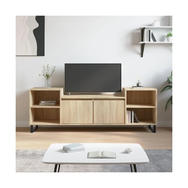 vidaXL Meuble TV, Armoire de Télévision avec 6 Compartiments, Meuble Télé avec Portes Salon Salle de Séjour, Moderne, Chêne S