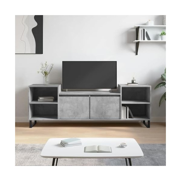 vidaXL Meuble TV, Armoire de Télévision avec 6 Compartiments, Meuble Télé avec Portes Salon Salle de Séjour, Moderne, Gris Bé