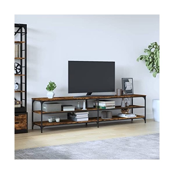 Hovothy Meuble TV Chêne Fumé 200x30x50 cm Bois dingénierie et Métal Vintage Meuble Multimédia Décoration Pièce Grand Espace