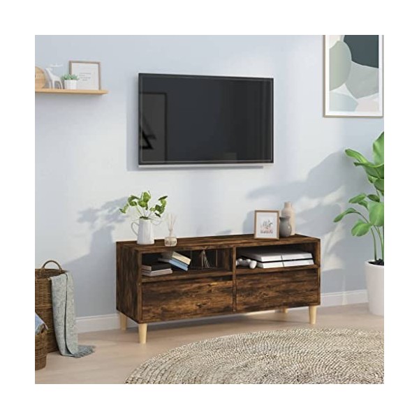 Hovothy Meuble TV Chêne Fumé 100x34,5x44,5 cm Bois dingénierie Armoire Stéréo Espace de Vie Intérieur Décoration Classique A