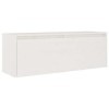 Metrile Armoire murale 100 x 30 x 35 cm avec 2 compartiments pour TV, buffet, meuble TV, meuble en bois de pin massif, blanc