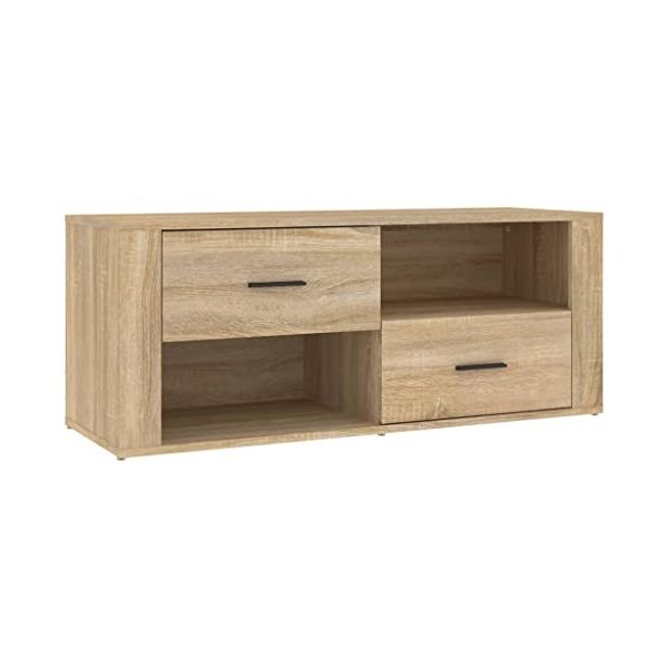 Hovothy Meuble TV Design Classique Chêne Sonoma 100x35x40 cm Bois dingénierie Résistance à lhumidité Armoire Stéréo Grand E