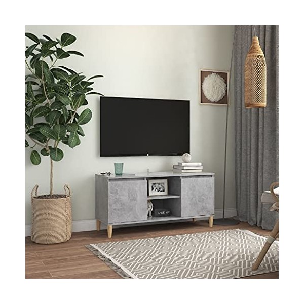 Meuble TV avec 2 Portes | Style Contemporain | Rangement matériel télé Audio Video Gaming | 103,5x35x50cm Gris béton