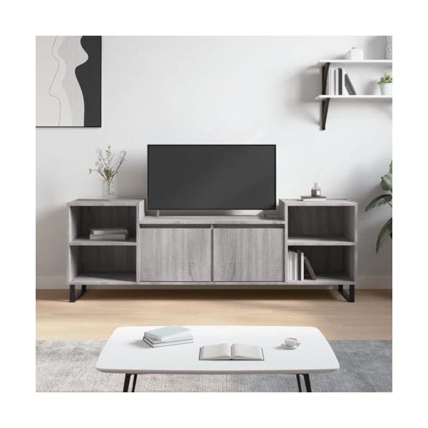 vidaXL Meuble TV, Armoire de Télévision avec 6 Compartiments, Meuble Télé avec Portes Salon Salle de Séjour, Moderne, Gris So