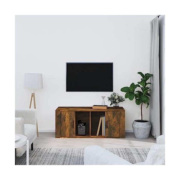 Higsose Meuble TV Salon Chêne Fumé 100x35x40 cm Bois dingénierie Armoire Télévision Dessus Stable et Robuste Vitrine daffic