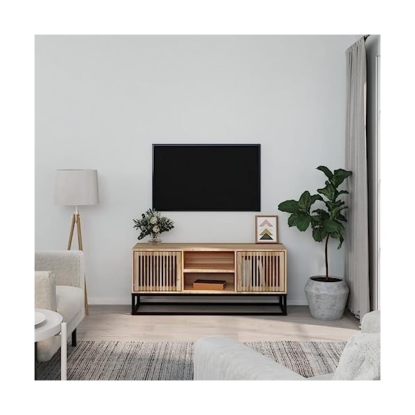 vidaXL Meuble TV 105x30x45 cm Bois dingénierie et Fer
