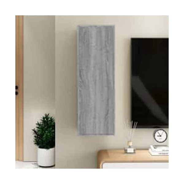 vidaXL Meuble TV Armoire Basse Centre de Divertissement Armoire Média Salon Salle de Séjour Intérieur Sonoma Gris 30,5x30x90 