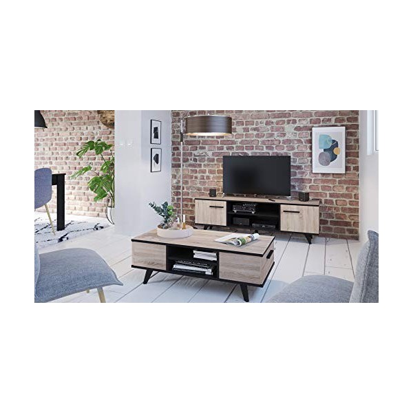 Demeyere - Meuble TV au Style Industriel Tendance - 2 Niches 2 Portes Ouvrantes - Banc au Support Robuste pour Votre écran de