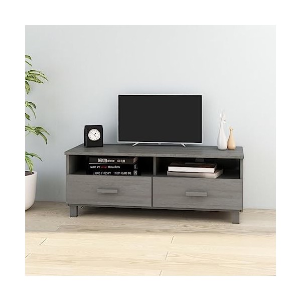 Meuble TV HAMAR Gris Clair 106x40x40 cm Bois Massif de pin - Meuble télé, Meuble TV Industriel, Meuble Chambre, Convient pour