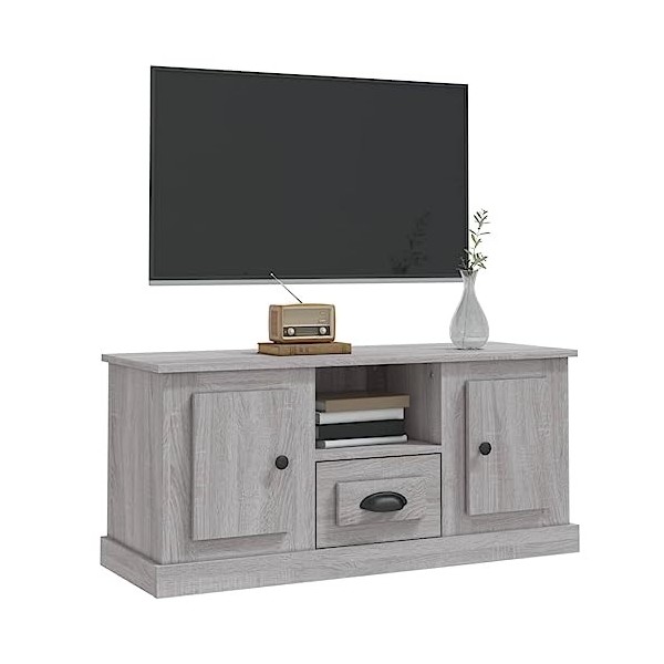 Hovothy Meuble TV Sonoma Gris 100x35,5x45 cm Bois dingénierie Armoire Télévision Décoration Salon Intérieure Dessus Robuste 