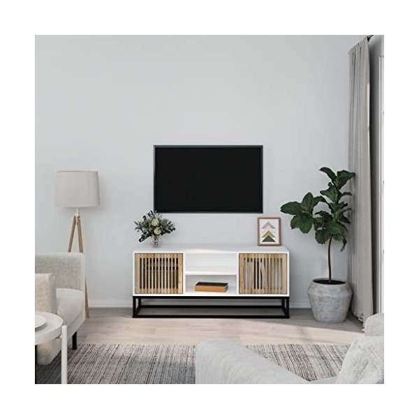 Meuble TV Blanc 105x30x45 cm Bois dingénierie et Fer - Armoire Basse Centre de Divertissement Meuble Stéréo Salon Salle de S