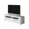 Loungitude - Meuble TV avec 2 portes et 2 niches de rangement L120 cm - Blanc