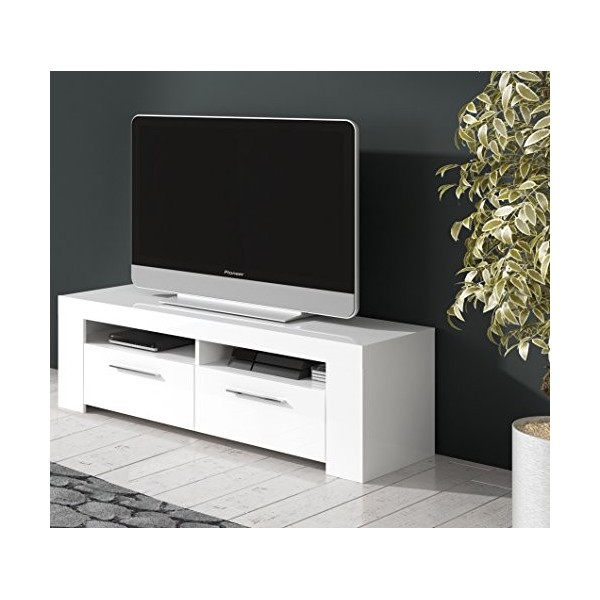 Loungitude - Meuble TV avec 2 portes et 2 niches de rangement L120 cm - Blanc