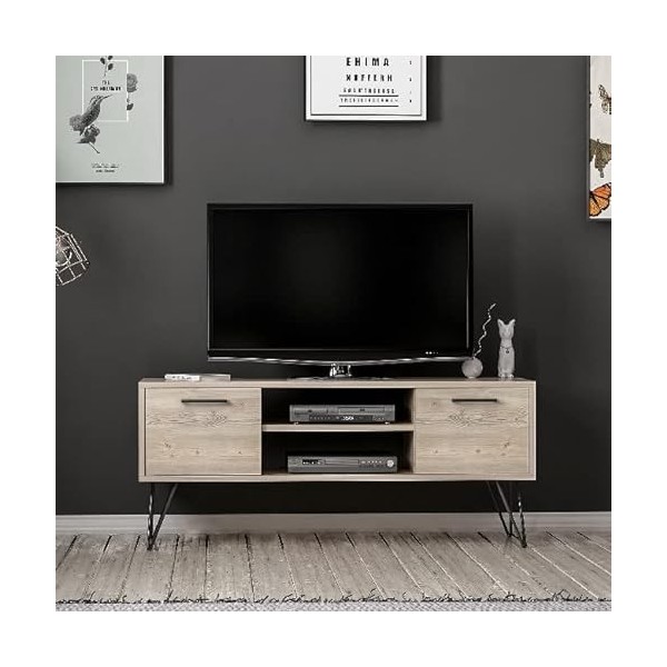 Homemania Meuble TV en Panneau de Particules, métal, Bois, Noir