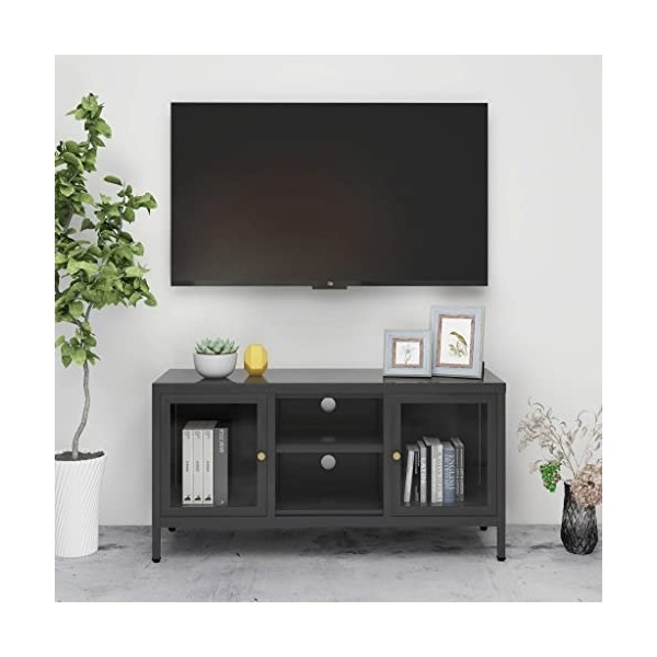 Générique Meuble TV Anthracite 105x35x52 cm Acier et Verre,20.76 KG,336060, Meubles, Meubles TV