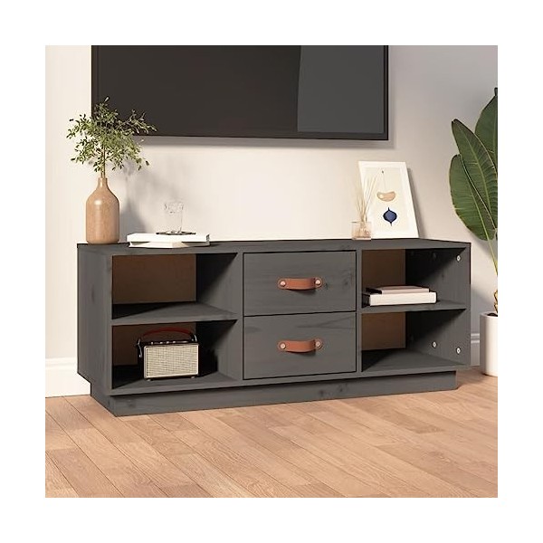 FAMIROSA Meuble TV Gris 100x34x40 cm Bois de pin Massif 14KG 