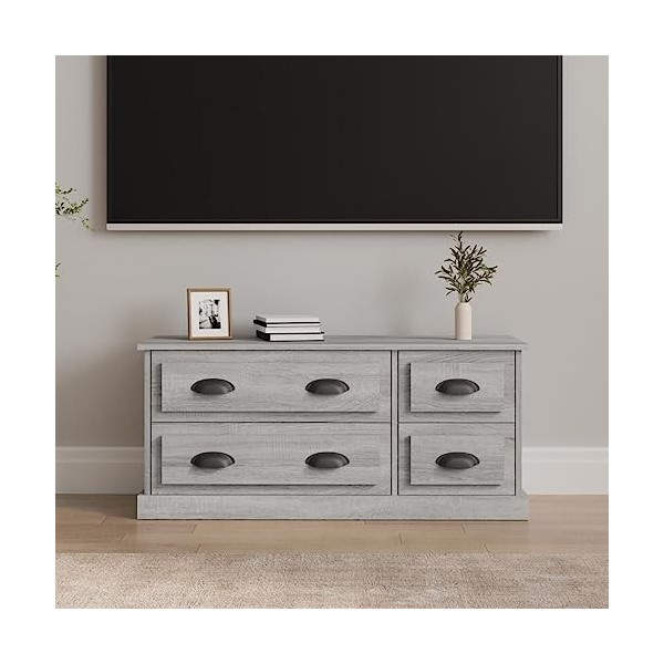 FAMIROSA Meuble TV Sonoma Gris 100x35,5x45 cm Bois dingénierie 25KG 