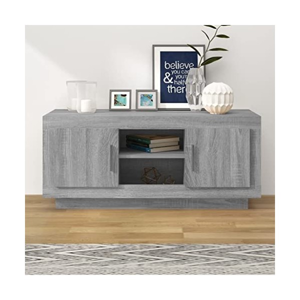 lvssiao Table de salon pour TV Meuble TV Contreplaqué Gris Sonoma 102 x 35 x 45 cm Très robuste Armoire TV avec grand rangeme