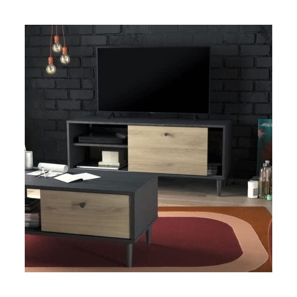 Demeyere Meuble TV Arty en Bois au Style Industriel – Format 110 * 39 * 48 Cm – Rangements Pratiques –Fabriqué en France