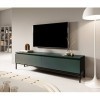 Selsey BEMMI Meuble TV, Melamine, Vert foncé, 150 cm