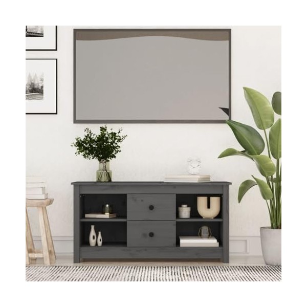 FAMIROSA Meuble TV Gris 103x36,5x52 cm Bois de pin Massif 15.5KG 