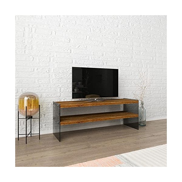 [en.casa] Meuble TV Meuble de Rangement Design pour Salon avec Espace de Stockage Verre Fumé Trempé Panneau de Particules 45 