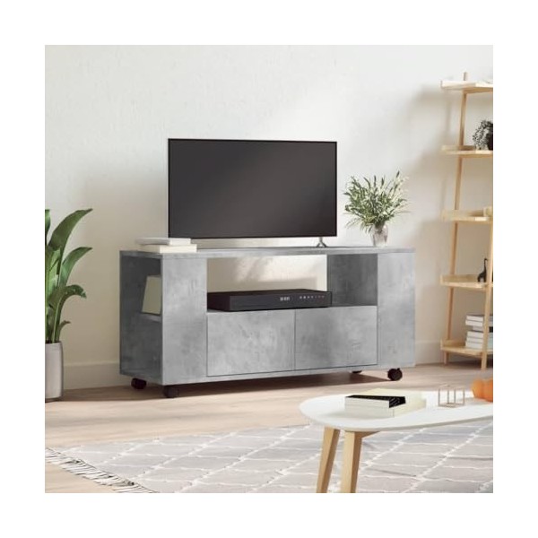 DJEKA Meuble TV Bois avec roulettes Meuble TV Bas Meuble TV Salon Table TV Salon pour Salon, Salle à Manger, Chambre-Gris-120