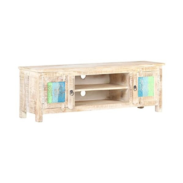 vidaXL Brut Meuble TV Armoire Basse Meuble Divertissement avec 2 Portes et 2 Compartiments Salon Maison Intérieur 120x30x40 c